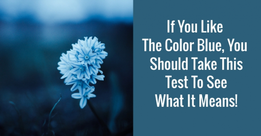 if-you-like-the-color-blue-you-should-take-this-test-to-see-what-it