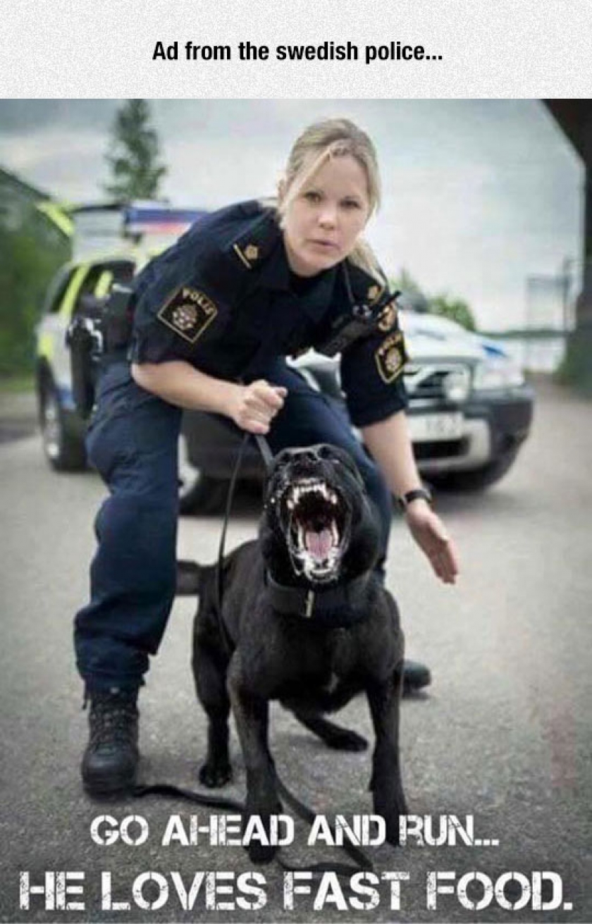 Swedish Police Doesn’t Mess Around