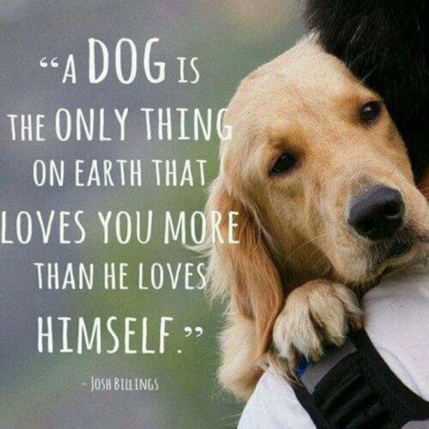 Truth About Dogs