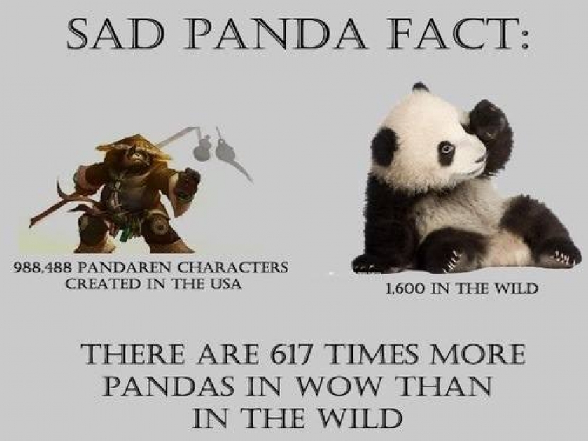                          Sad Panda Fact                      
