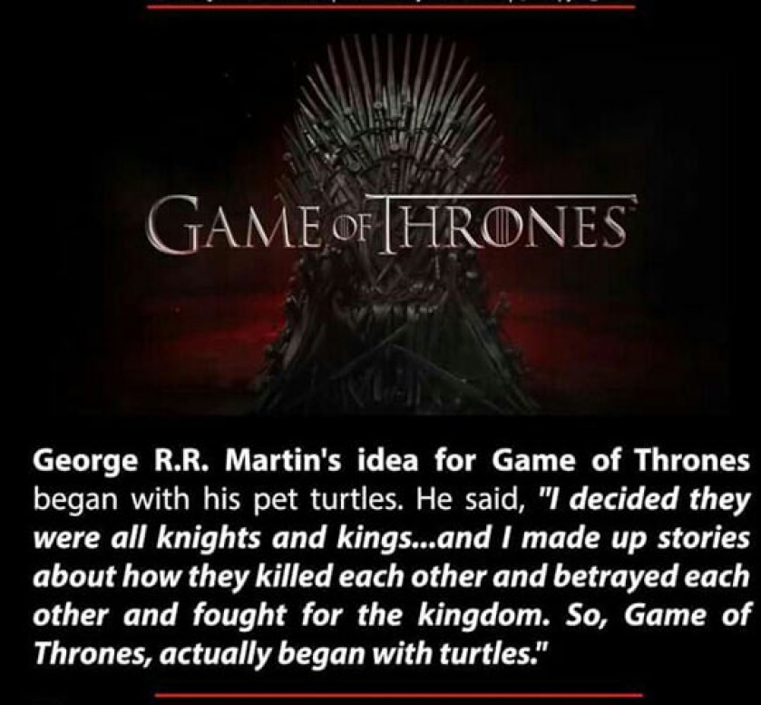 Game Of Turtles