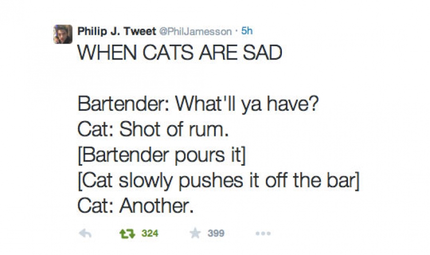 Sad Cat Walks Into A Bar