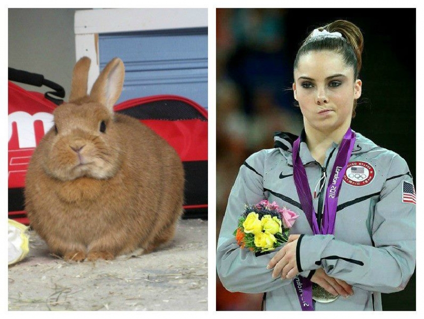                          McKayla’s equally unimpressed bunny                      