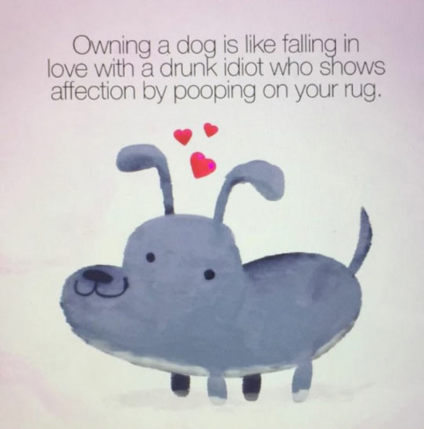 Owning A Dog