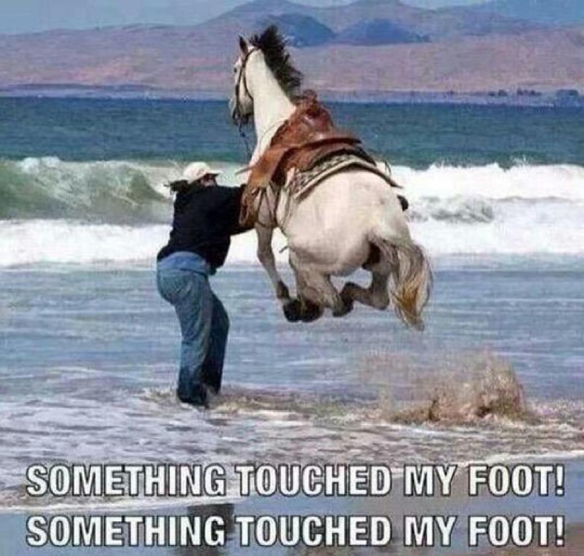 When You Step On Something In The Ocean