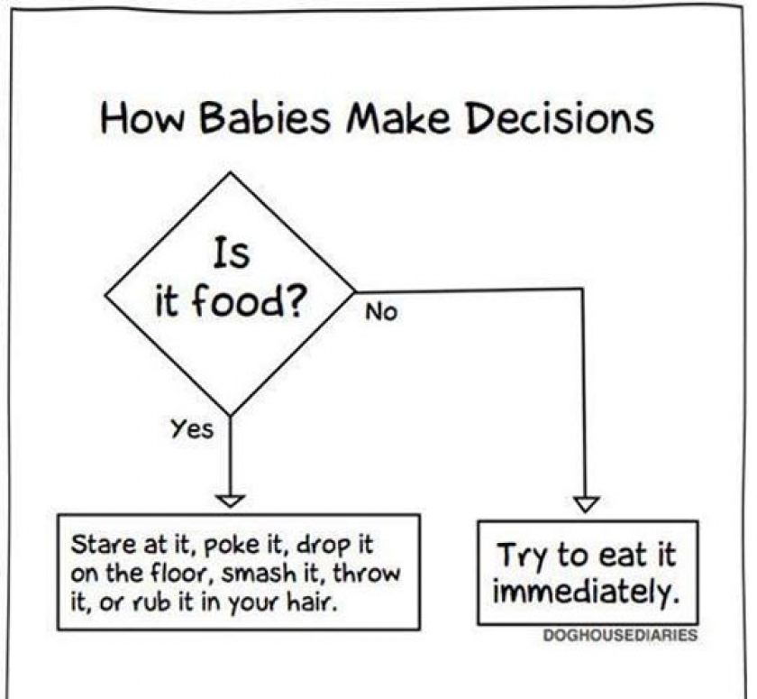 The Way Babies Make Decisions