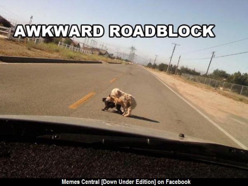                          Awkward roadblock                      