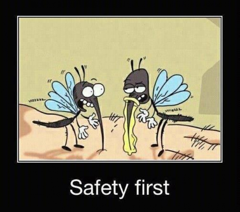                         Safety first                      