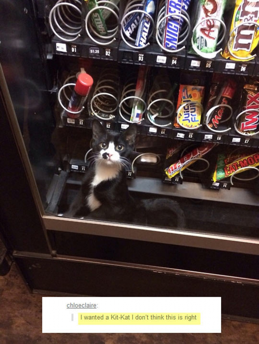Vending Machines Are Getting Weirder