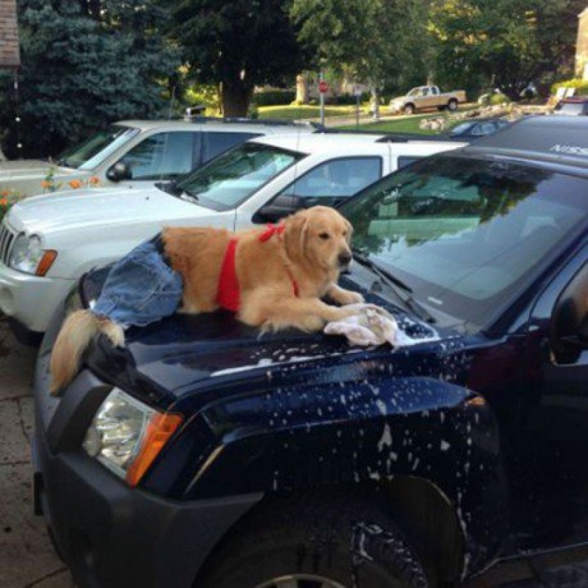 Got this bitch washing my car yo..