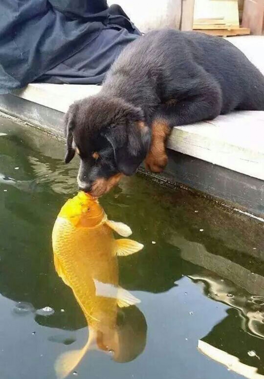 Unexpected Kiss