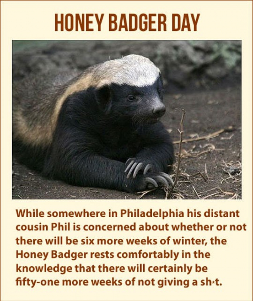 Honey Badger Plans