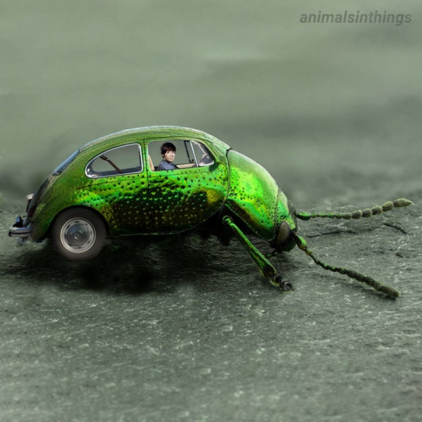I photoshopped a beatle into a beetle into a beetle.