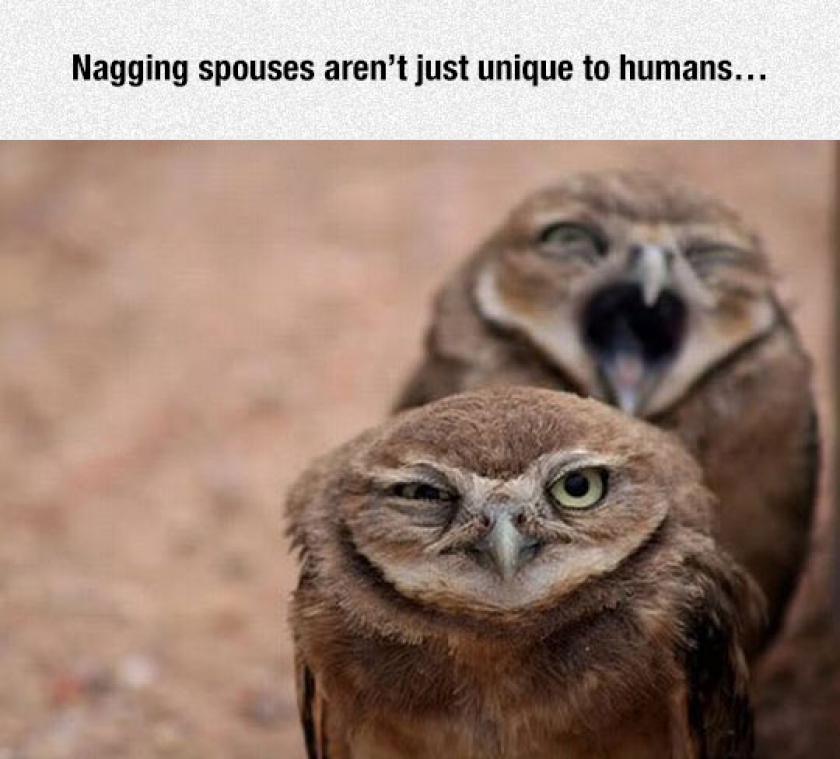 Nagging Spouses