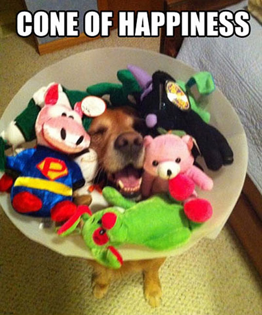 The Cone That Makes It All Better