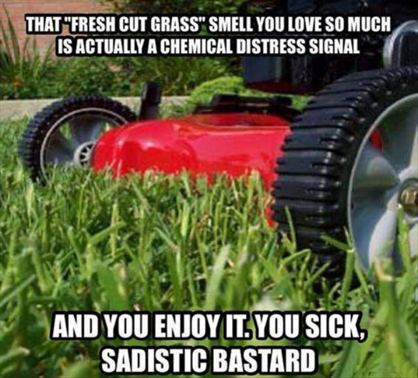 There’s Nothing Like The Smell Of A Freshly Cut Lawn