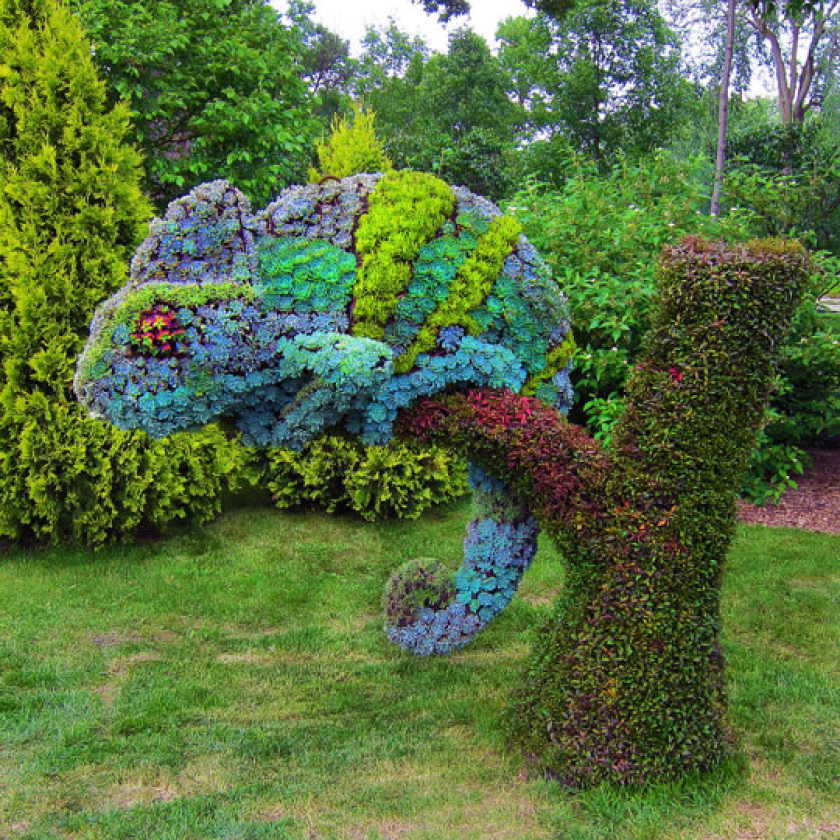 Chameleon Topiary