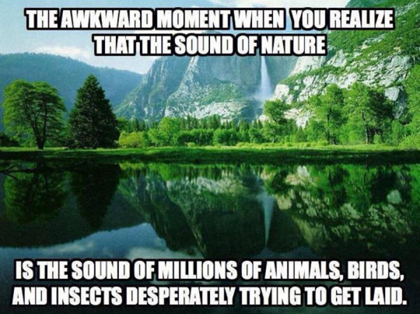 That Precious Sound Of Nature