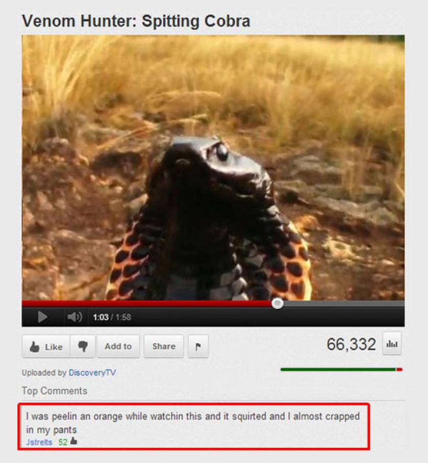 Old Youtube Comments Were The Best