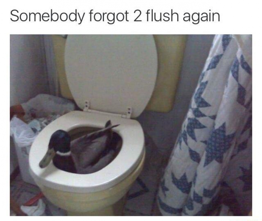 Somebody forget to flush again