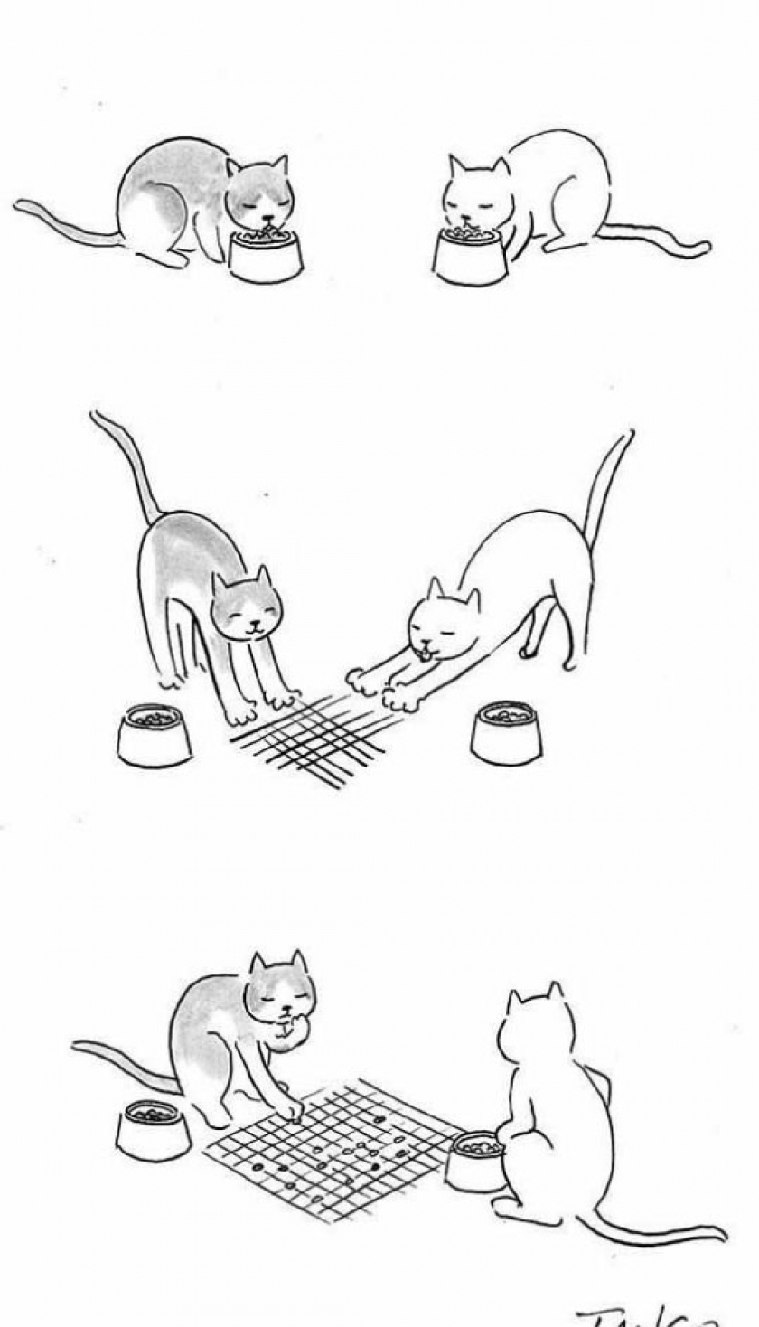 The Intelligence Of Cats