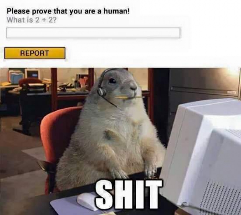Please prove that you are human!