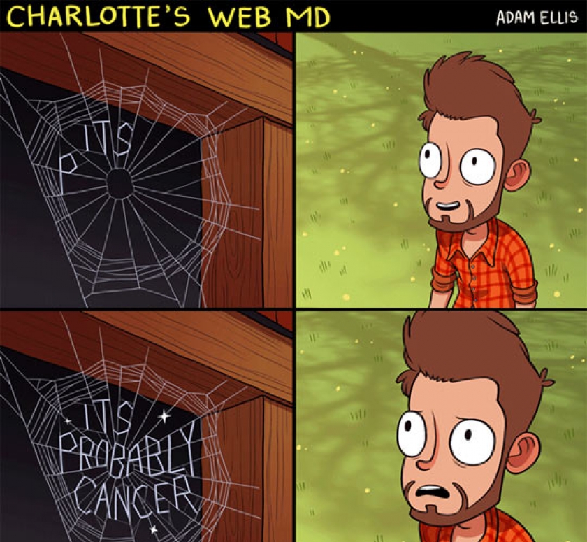 Charlotte’s Web MD
