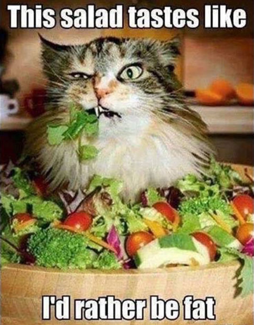 The Taste Of Salad