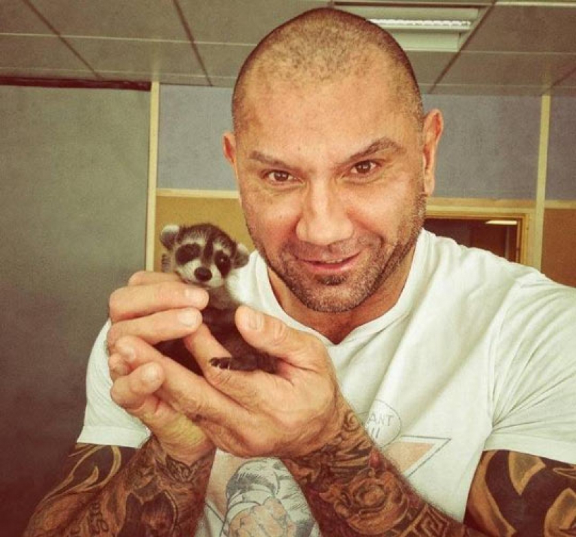 Drax The Destroyer And Rocket Raccoon