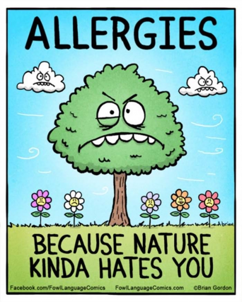 Allergies Season