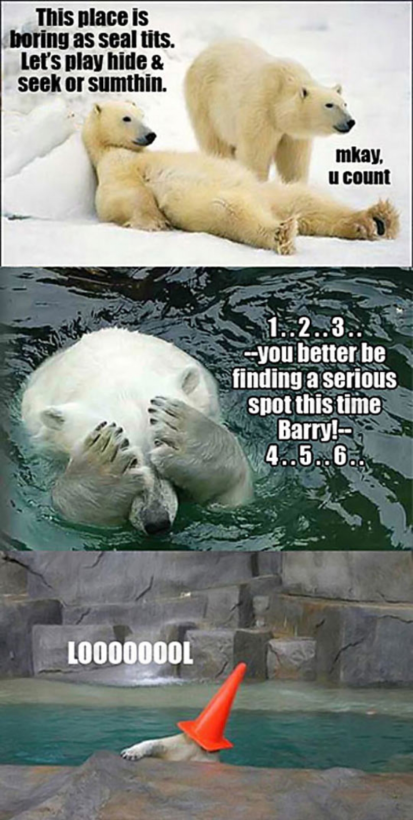 Bored Polar Bears