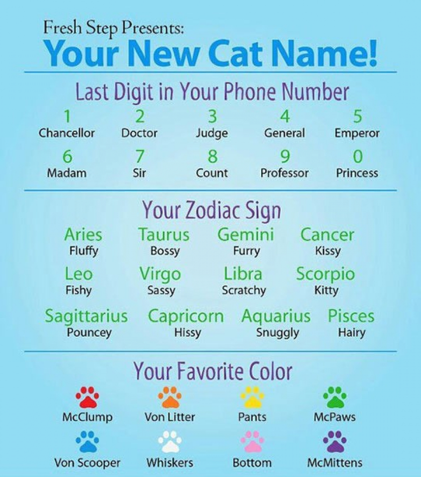 Here’s Your New Cat Name