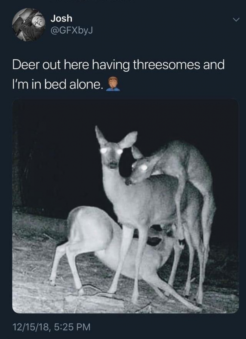 Deer lord