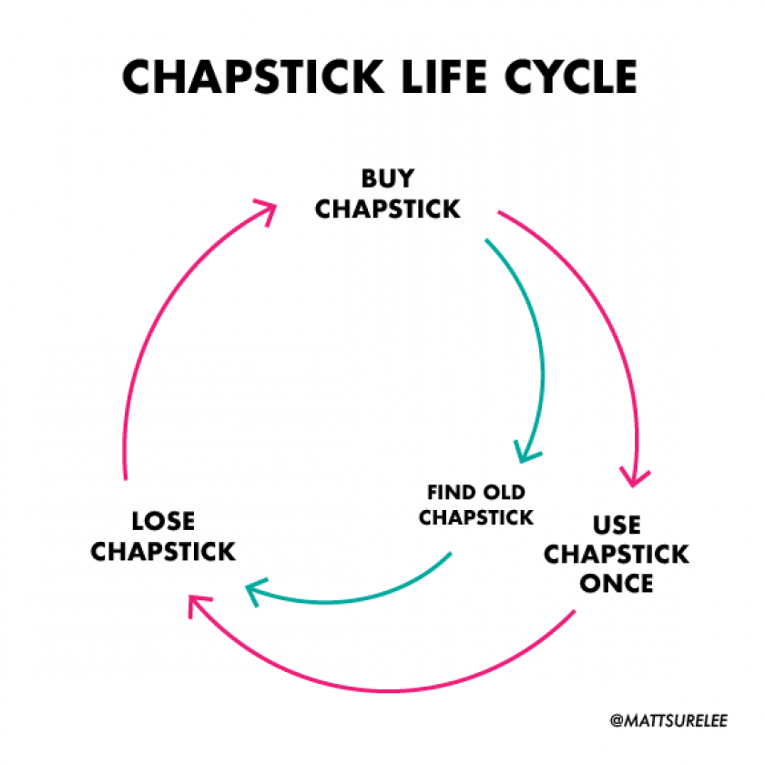 Chapstick life cycle (oc)