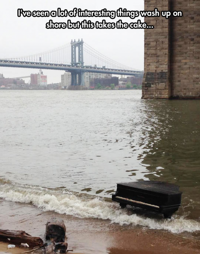 Under The Brooklyn Bridge