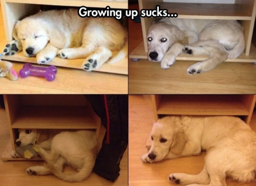 Growing Up Is Overrated