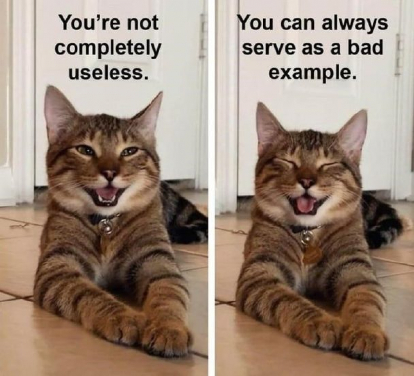 Midweek Meowtivation