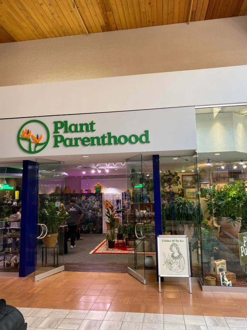 That’s definitely one name you can chose for your plant nursery