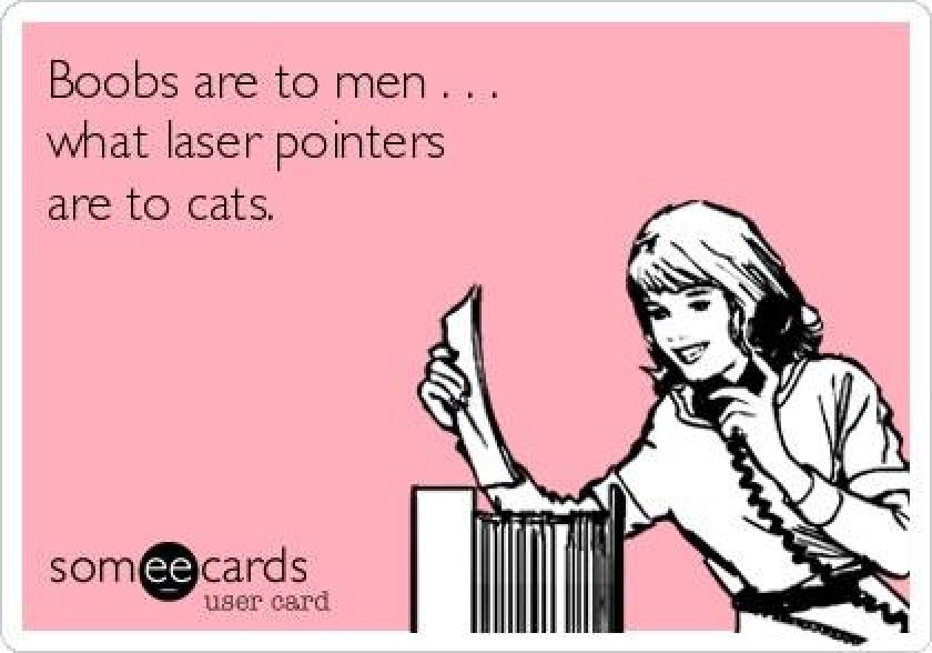                          Men and cats will understand                      