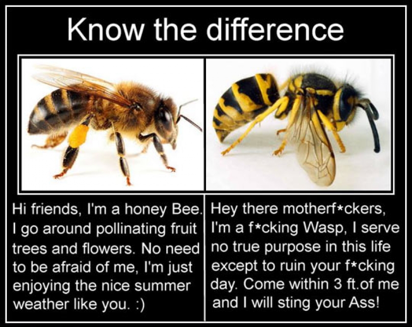 For Those Who Can’t Tell The Difference