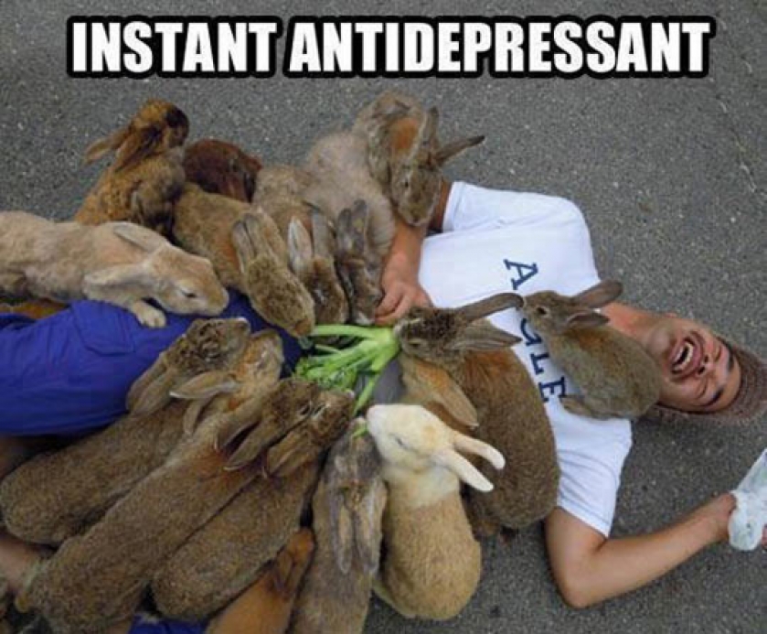 The Best Instant Antidepressant
