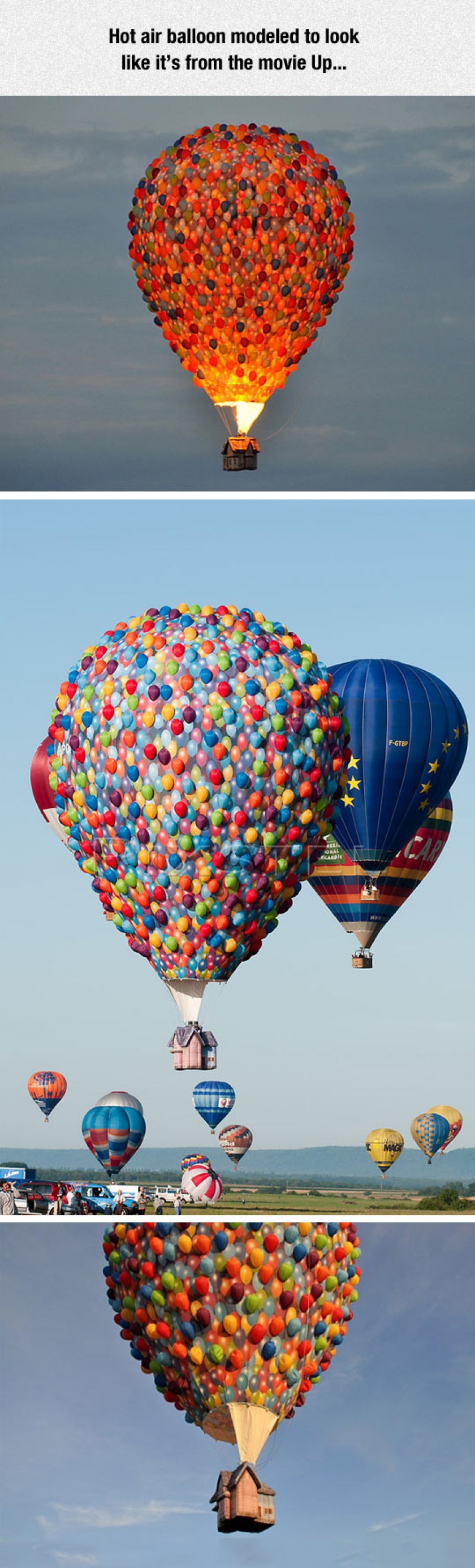 Up Hot Air Balloon