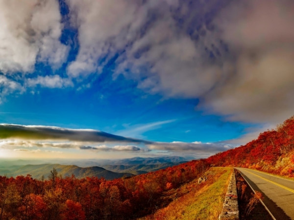 Pick a state to go leaf peeping in: