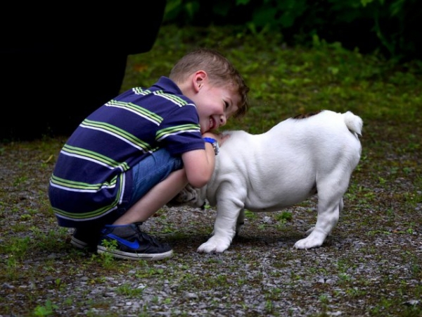 How important is it that your dog be good with little kids?