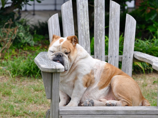 Do you ever find yourself nodding off after lunch?