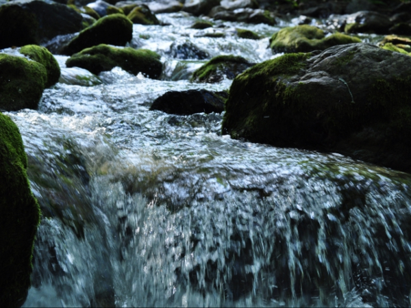 There's a fast moving and rough river blocking your path to the other side. How do you cross the river?