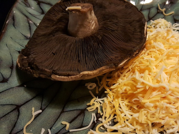 Would you eat a sandwich with a portobello mushroom for a bun?