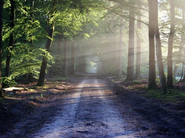 When sitting out in nature, you can't help but feel?