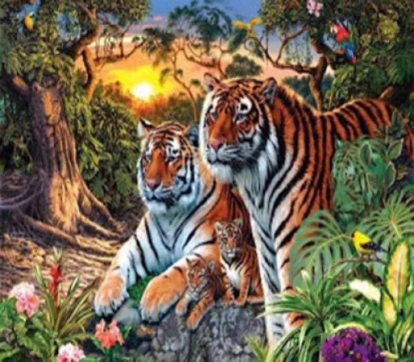 How many tiger do you see in this picture?