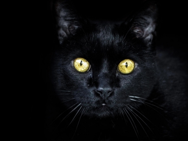 Which superstition do you believe in?